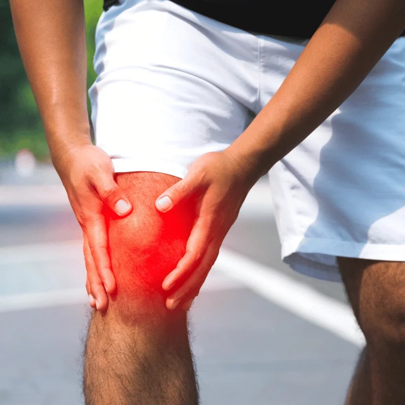 WhatsApp Image 2025 11 27 At 11.47.06 AM