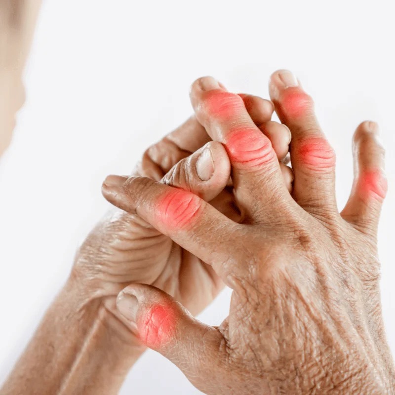 whatsapp image 2025 11 27 at 11.47.13 am